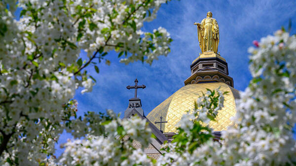 View of the dome through freshly blossomed trees on Notre Dame's campus.